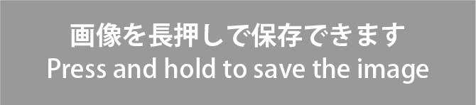 画像保存誘導画像